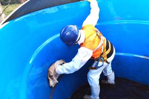 Limpeza de caixa d´agua em Santo André - (11) 4451-0933 Limpeza de caixa d´agua em Santo André - (11) 4451-0933