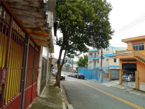 Desentupidora no Jardim das Nações